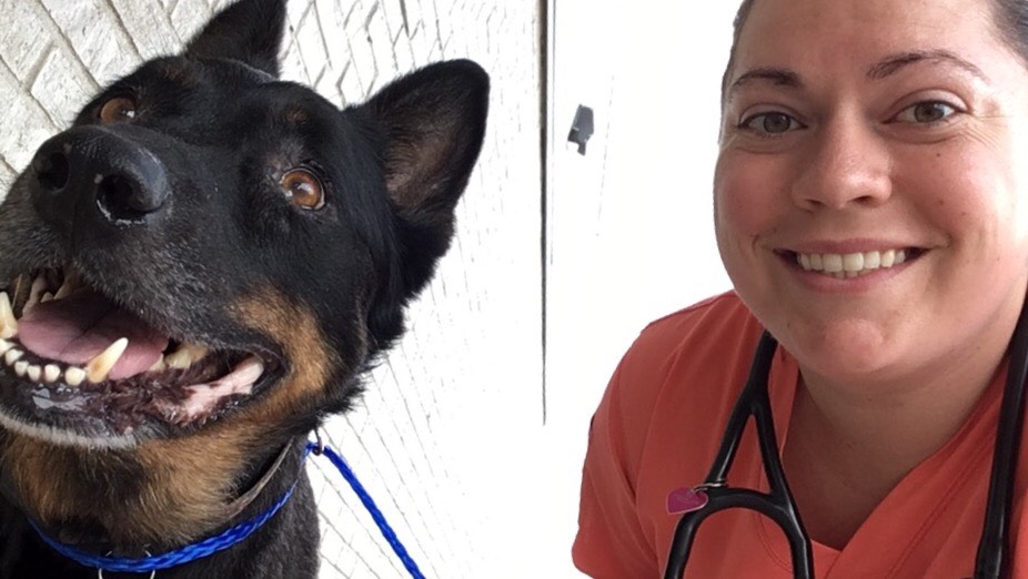 Dog Heartworm Testing | Waco Mobile Vet | Dr. Valerie Coerver | Waco TX