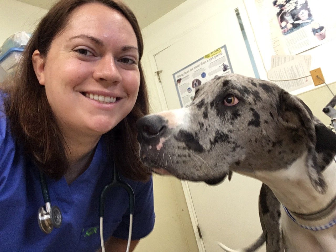 Dog Care | Waco Mobile Vet | Dr. Valerie Coerver | Waco TX